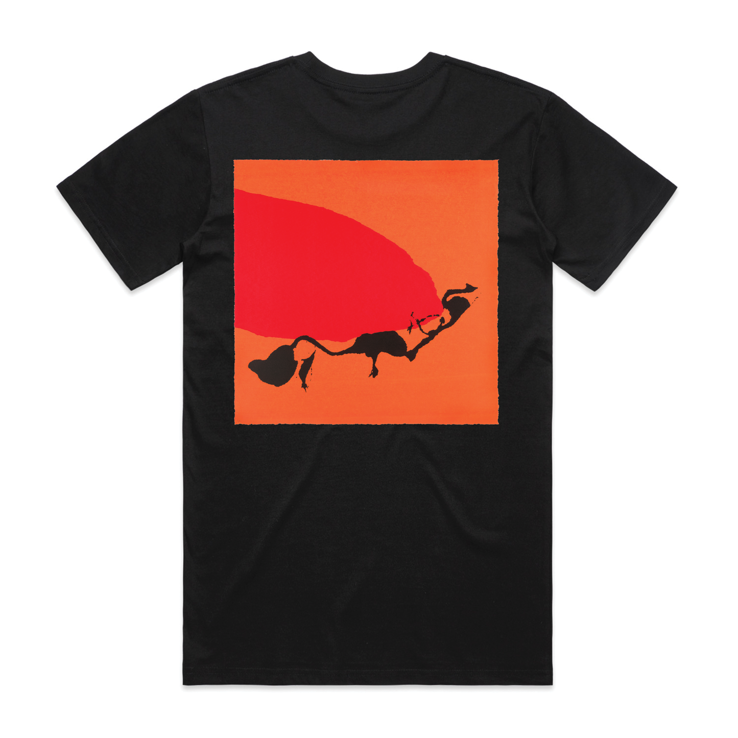 Visions of Light 5 Year Anniversary T Shirt - Black